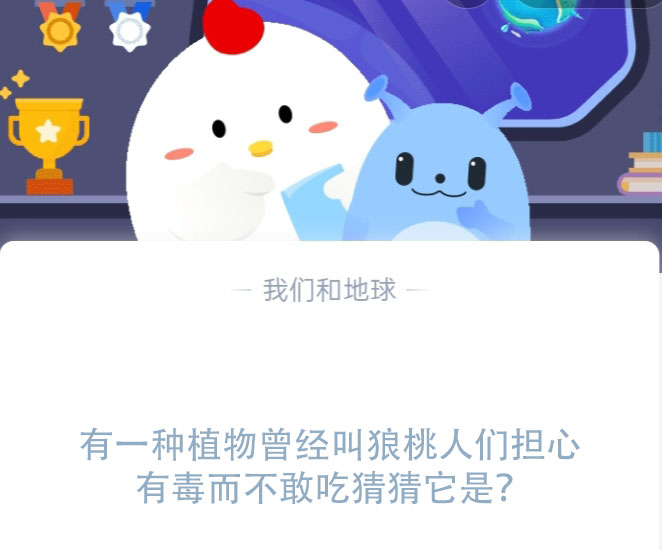 狼桃是什么