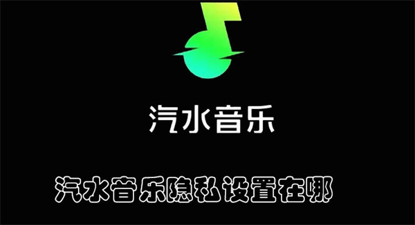 汽水音乐隐私设置在哪(汽水娱乐)