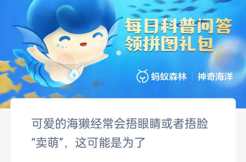 可爱的意思是什么