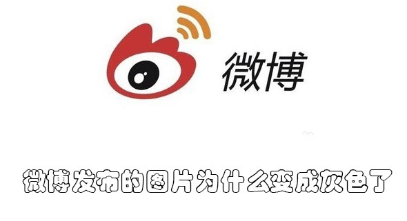 微博发布的图片为什么变成灰色了(微博上传图片变灰)