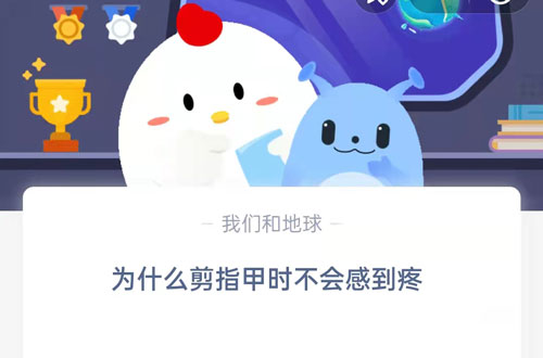 为什么剪指甲时不会感到疼(为什么剪指甲不会痛)