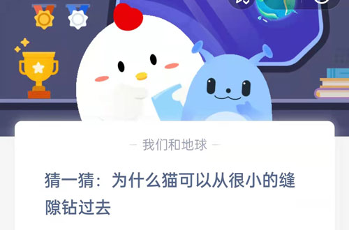 为什么猫可以钻过很细小的缝