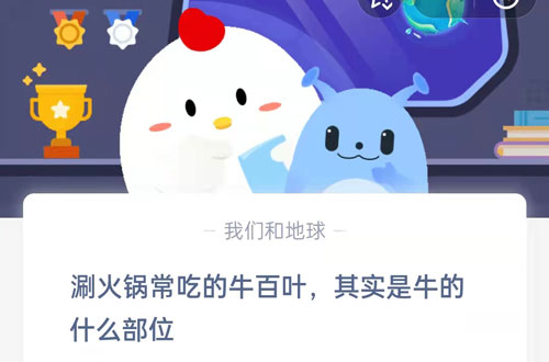 牛百叶涮火锅怎么吃