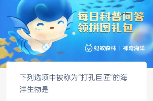 被称为打孔巨匠的海洋生物是谁