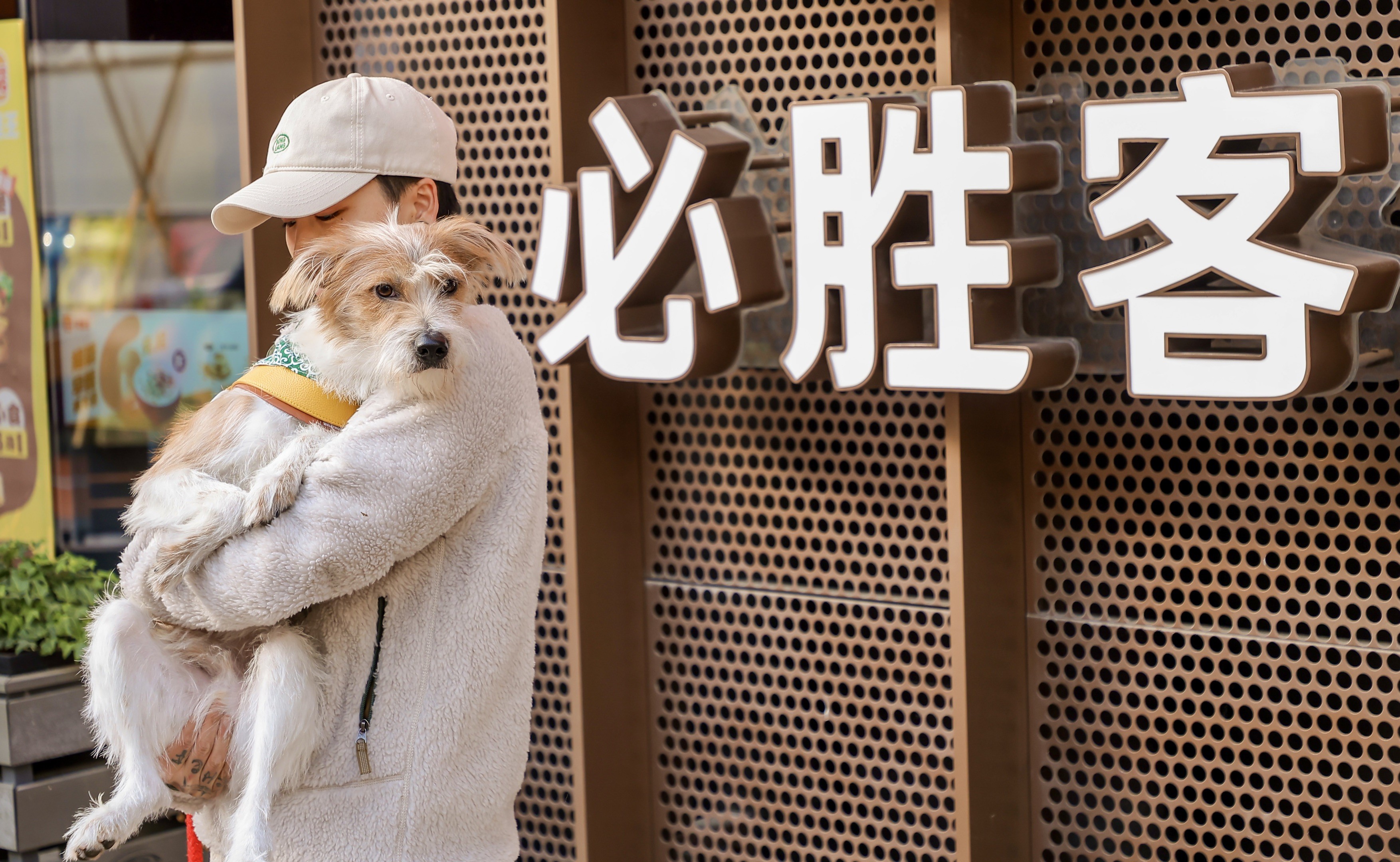 领养代替购买  必胜客为爱伸出“圆手”