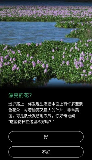 这些花长在这里不好吗(这些花长在这里不好吗的英文)