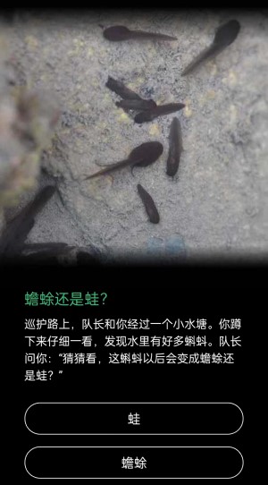 蟾蜍还是蛙(蟾蜍与癞蛤蟆的区别是什么)