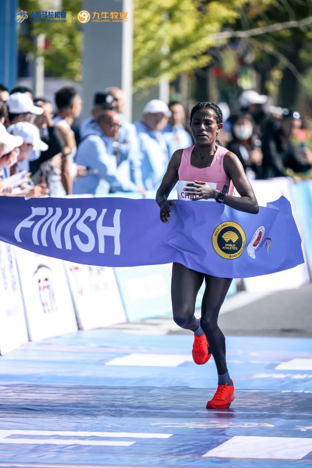 2:08:30！尘封12年的太马男子纪录被打破